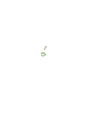 Genuine Briggs & Stratton Check Valve Seats 494409